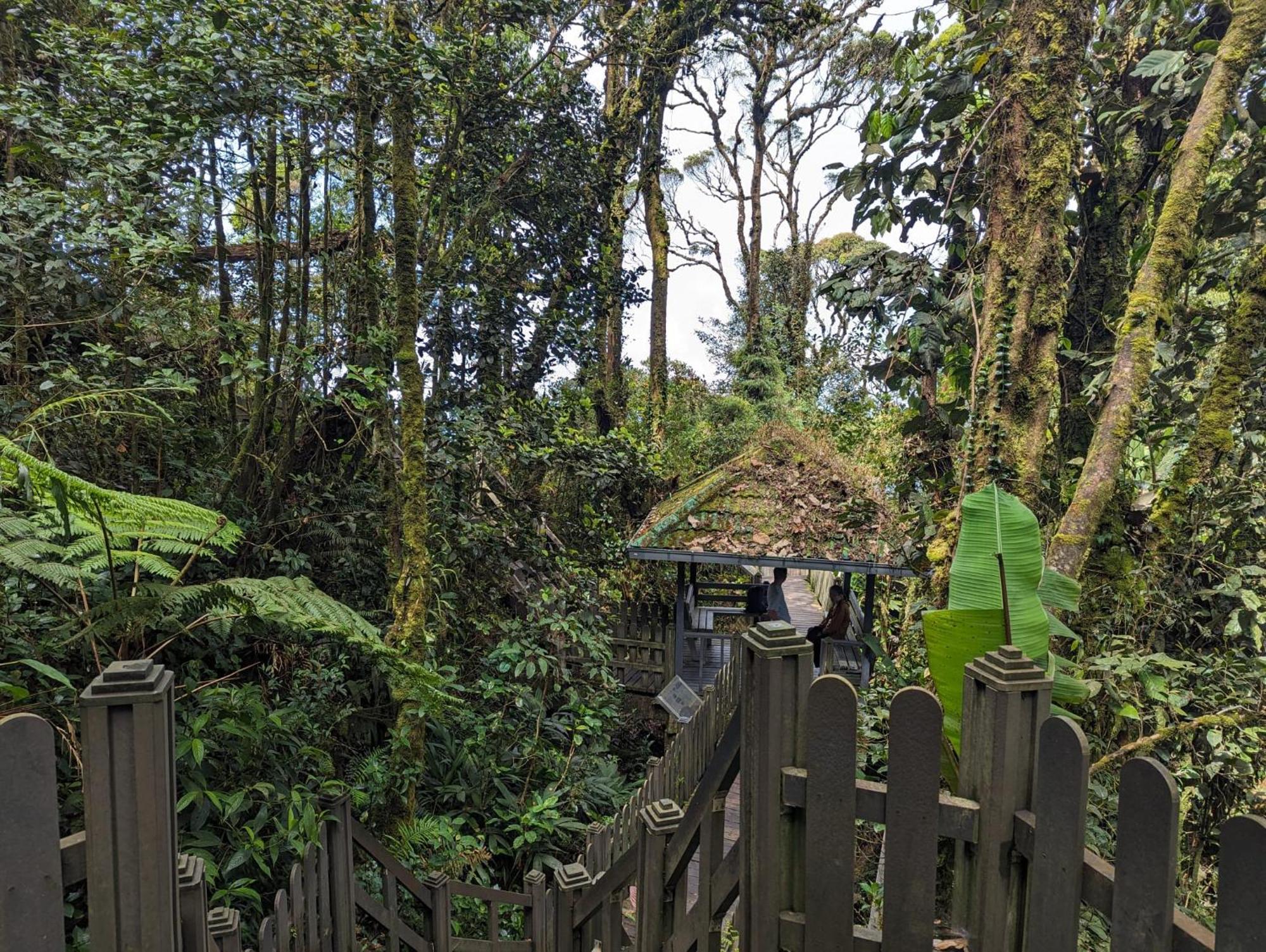 Rovers Inn Guesthouse - Age 11 And Above Only (Adults Only) Tanah Rata Buitenkant foto