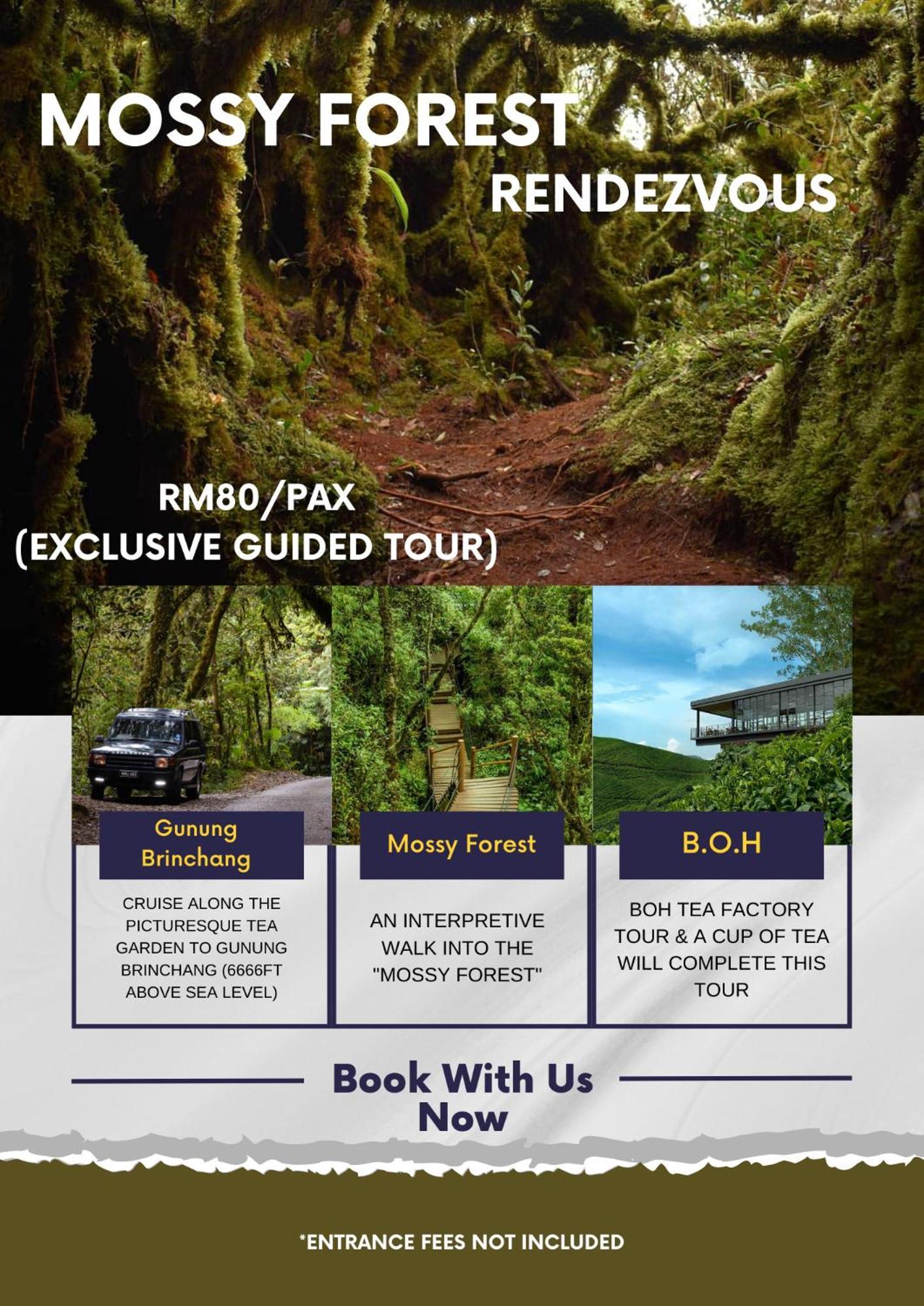 Rovers Inn Guesthouse - Age 11 And Above Only (Adults Only) Tanah Rata Buitenkant foto